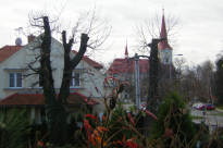 dscn2228
