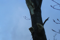 dscn2236