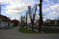 tudy-cesta-nevede