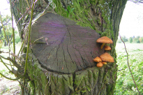 u-velke-rezne-rany-nater-nepomuze